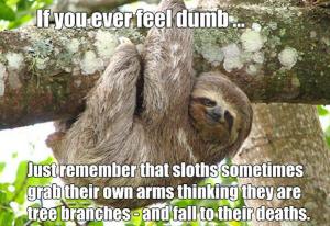 Sloth